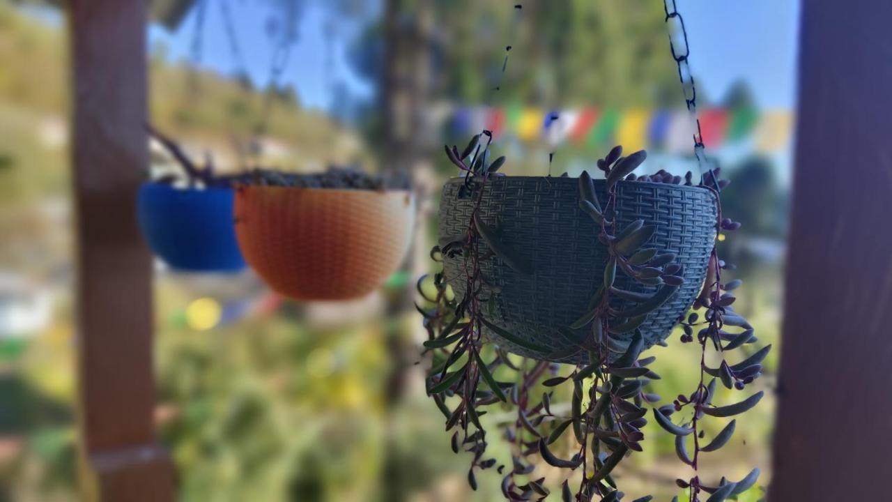 Tenzo Homestay Bomdila 外观 照片